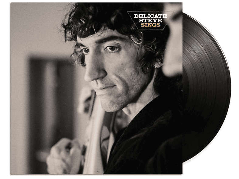Delicate Steve - Delicate Steve Sings - (Vinyl)