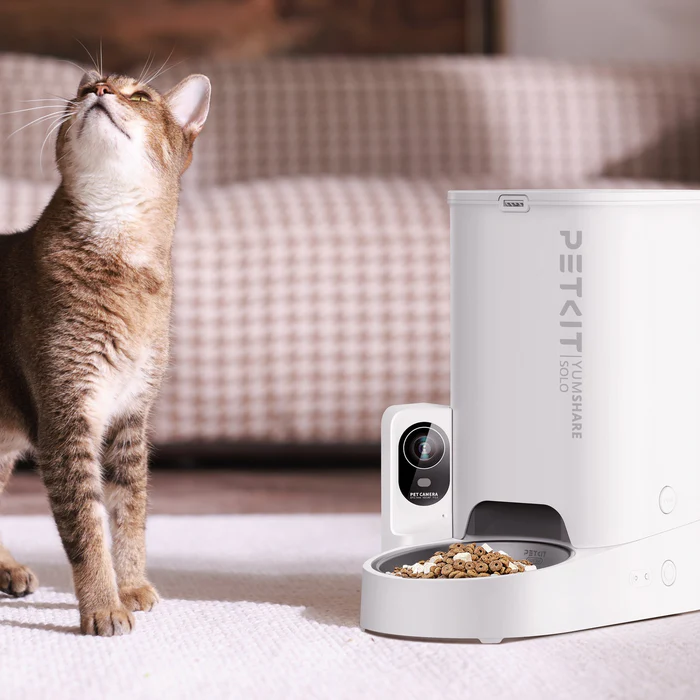 Un gatto guarda verso l'alto un distributore automatico PETKIT bianco con fotocamera.