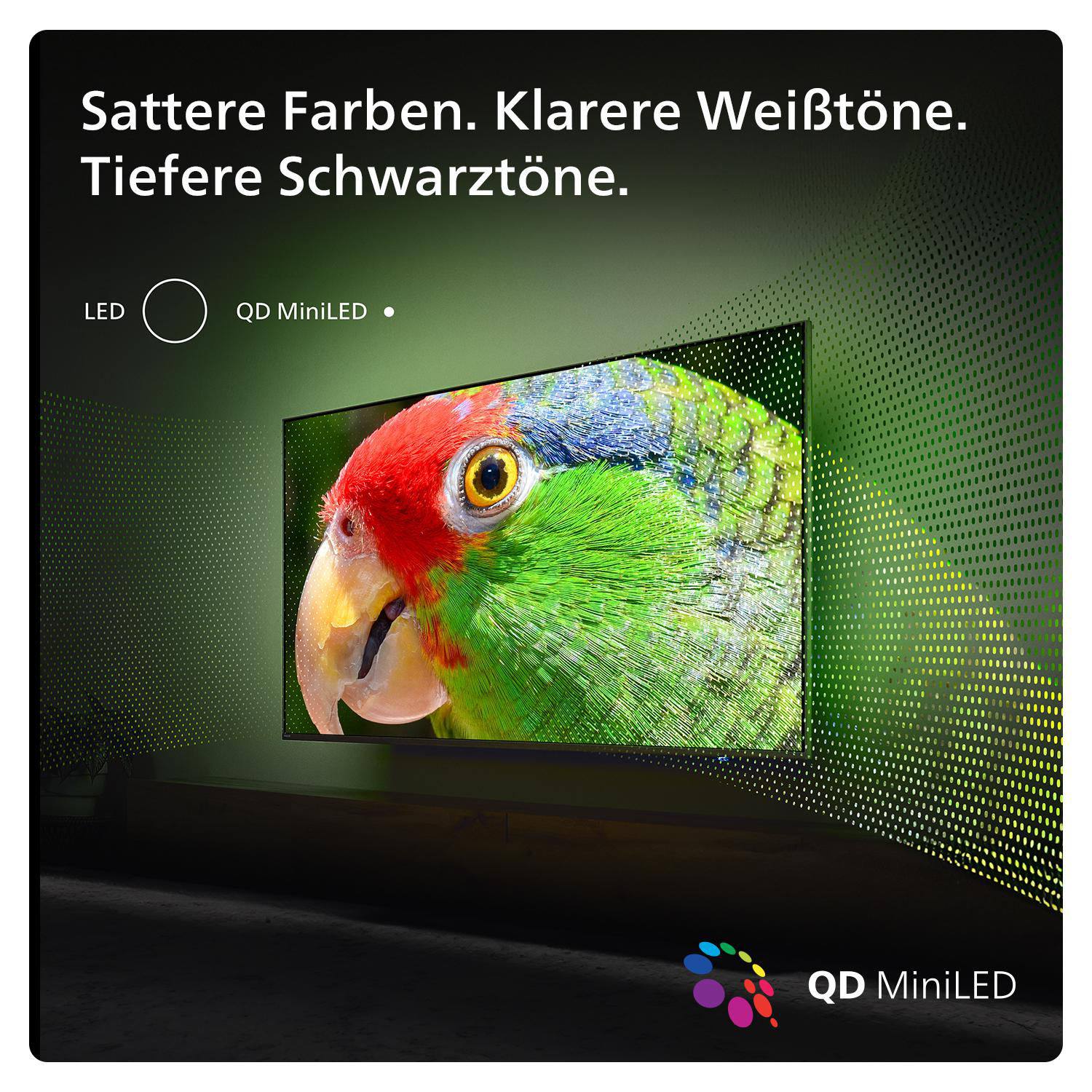 Ein Fernsehbildschirm, der ein Papageienbild anzeigt, mit den Logos LED und QD MiniLED.