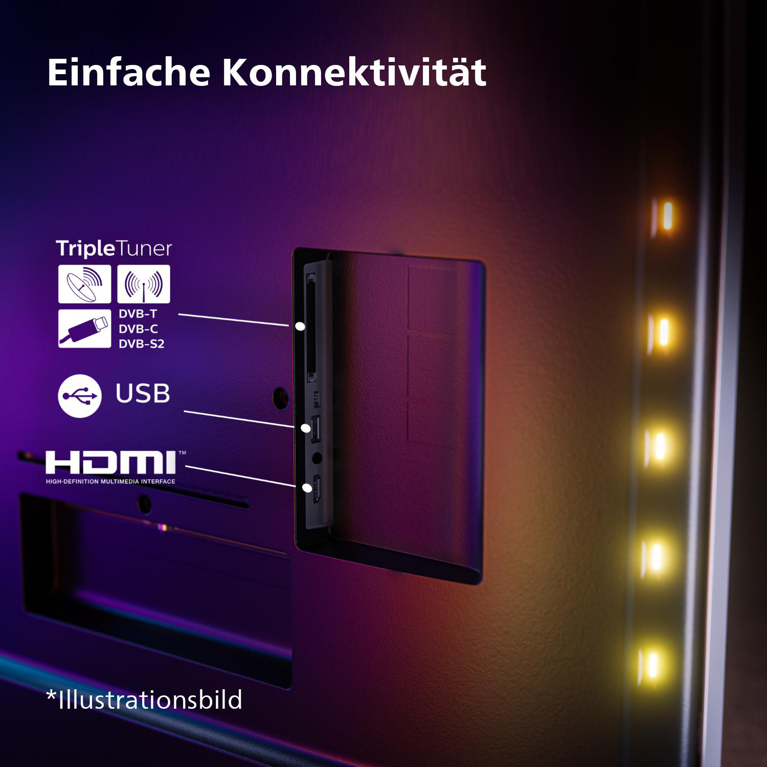 Rückwand des Fernsehers mit Anschlüssen. Dreifach-Tuner, USB, HDMI-Anschlüsse. Illustrationen.