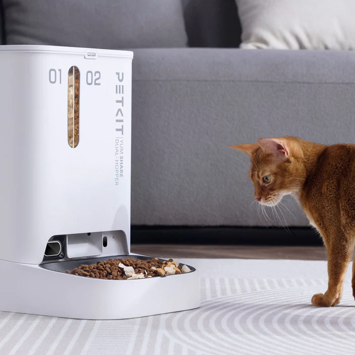 Un distributore di cibo per animali domestici bianco con un gatto che lo guarda. Il distributore ha due aree di stoccaggio del cibo.
