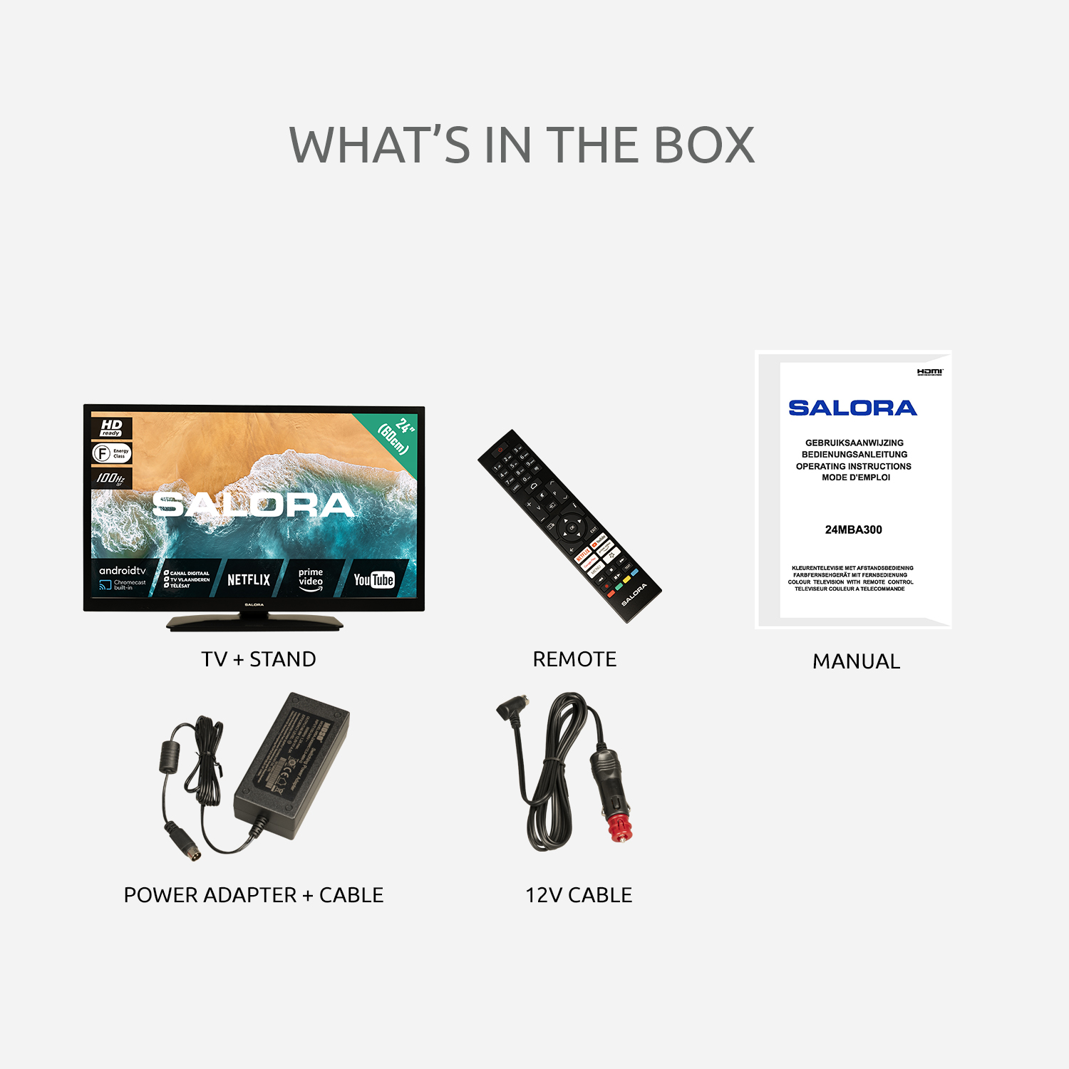 Box contents of a TV. Includes a TV, remote, manual, power adapter, and 12V cable.