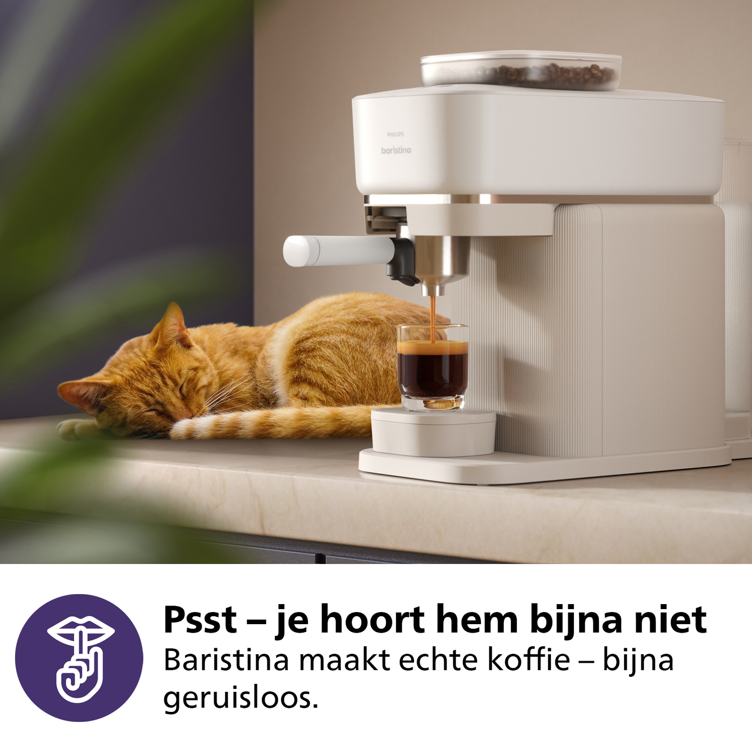 A coffee machine is dispensing espresso into a glass. A sleeping orange cat lies nearby.