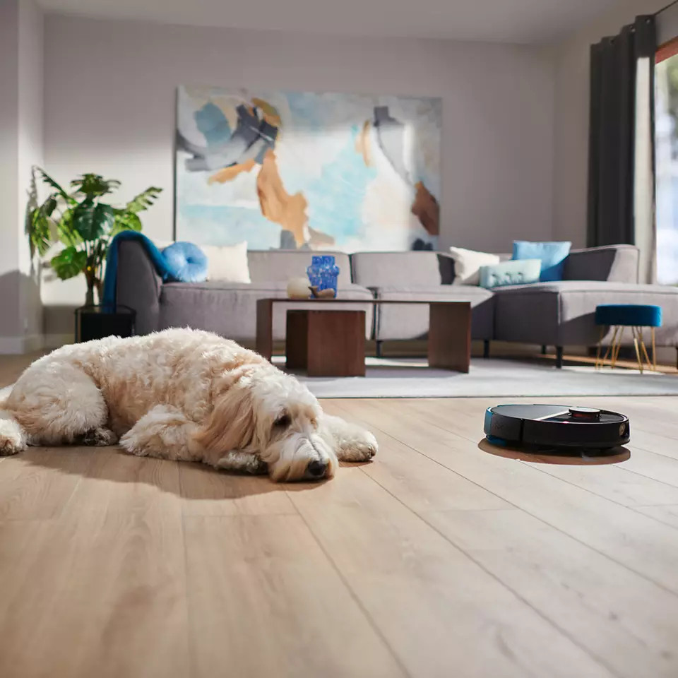Pies leżący na drewnianej podłodze, odkurzacz robot po prawej. Wnętrze z sofą i obrazem w tle.