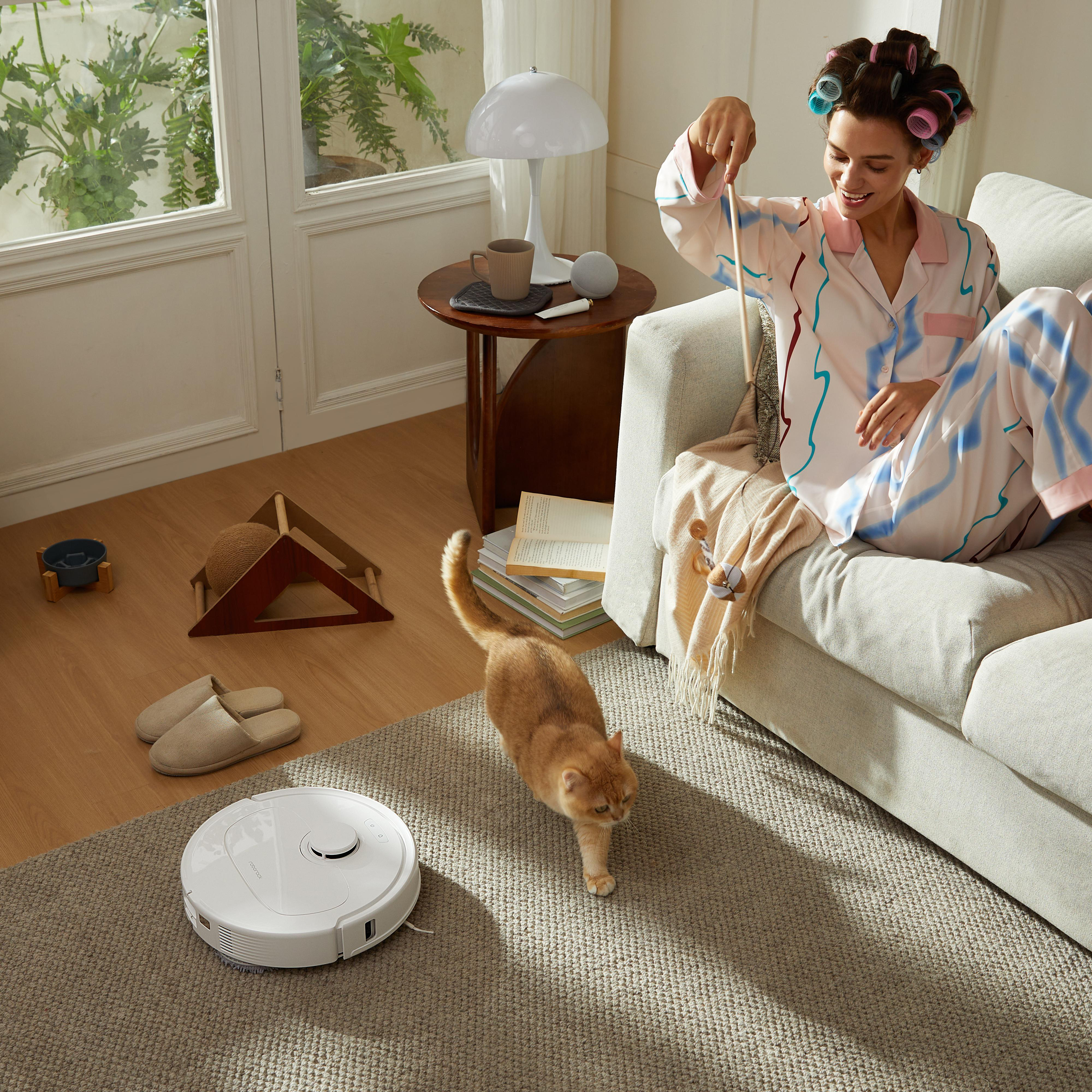 Frau mit Lockenwicklern spielt mit einer Katze mit einem Spielzeug. Ein Roboter-Staubsauger und ein Teppich sind im Vordergrund.