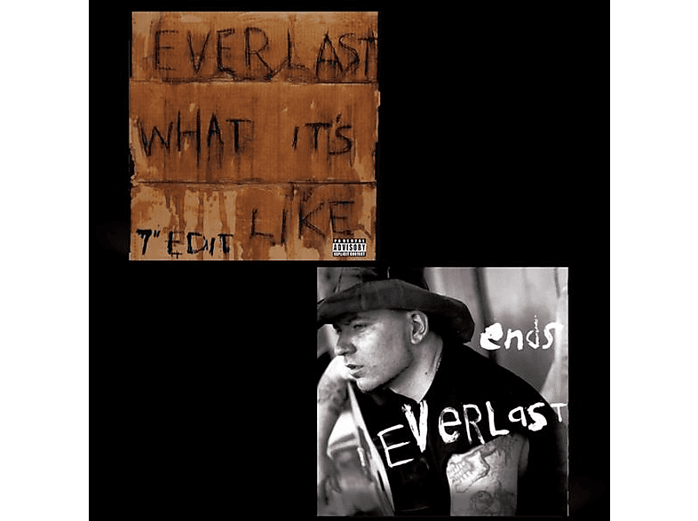 Everlast everlast 7 what its like ends vinyl musik vorbesteller