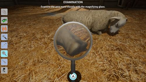 Pied de mouton vu à travers une loupe dans une grange.