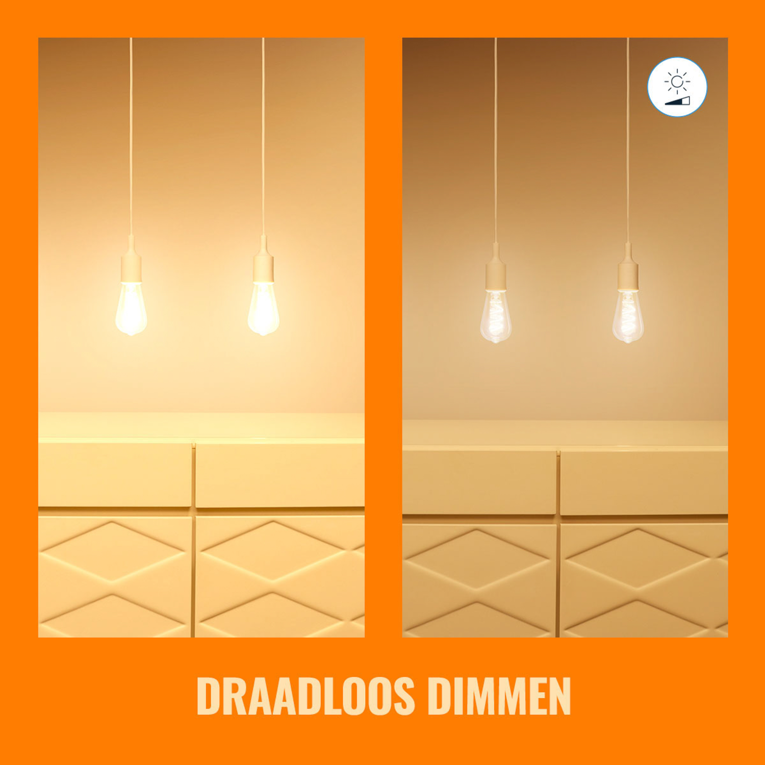 Image shows two hanging light bulbs, with dimming control symbol.