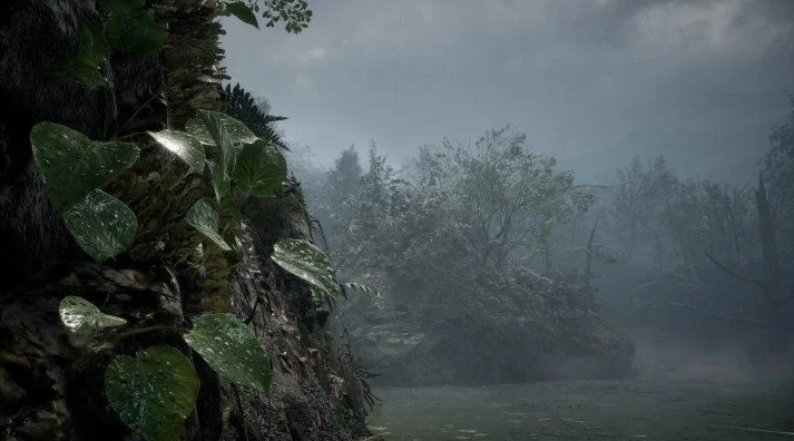 Eine neblige Waldlandschaft mit felsigem Vordergrund und üppigem Grün.
