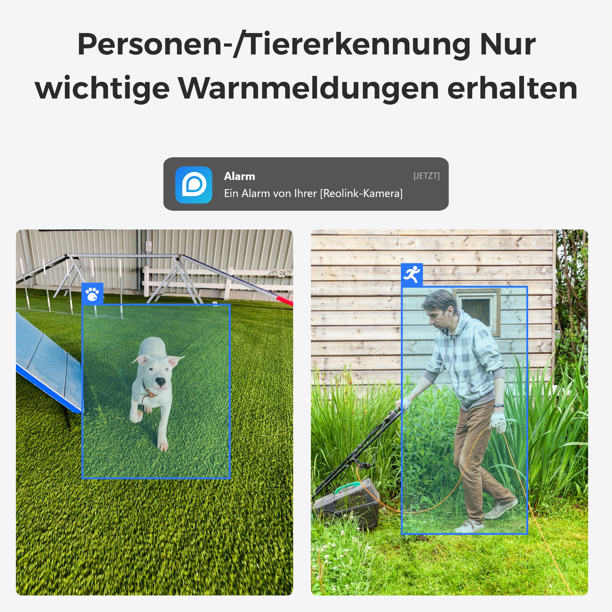 Zwei Bilder, die einen Hund und einen Mann mit Rasenmäher zeigen, sind blau umrandet.
