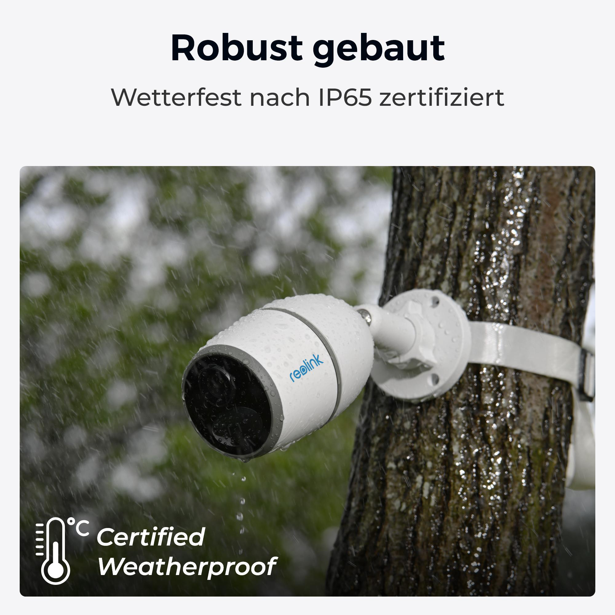 Weiße, wetterfeste Überwachungskamera an einem Baum mit Regen.