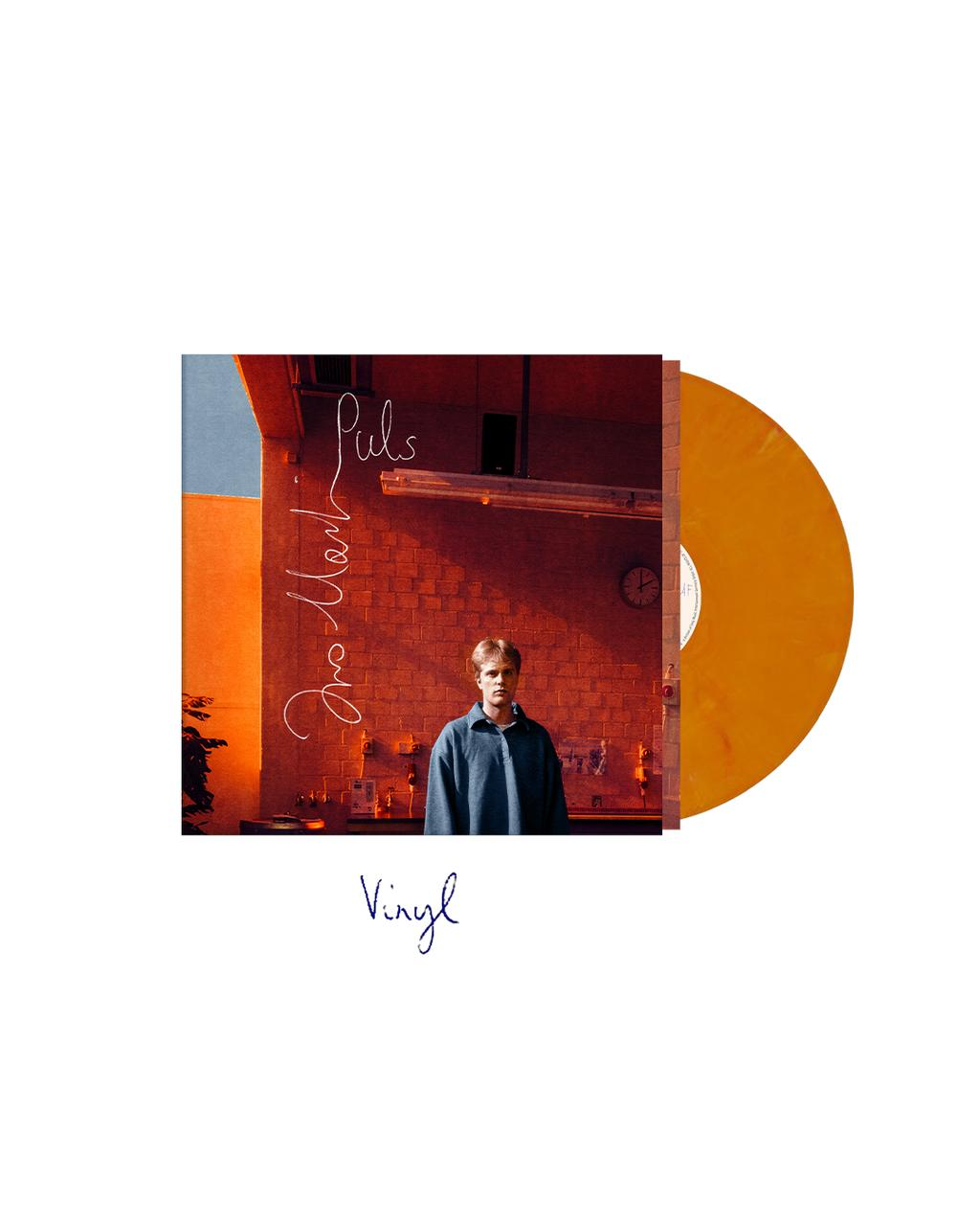 Eine Vinyl-Schallplatte, Albumcover und Text 'Vinyl' auf weißem Hintergrund mit warmer Beleuchtung.