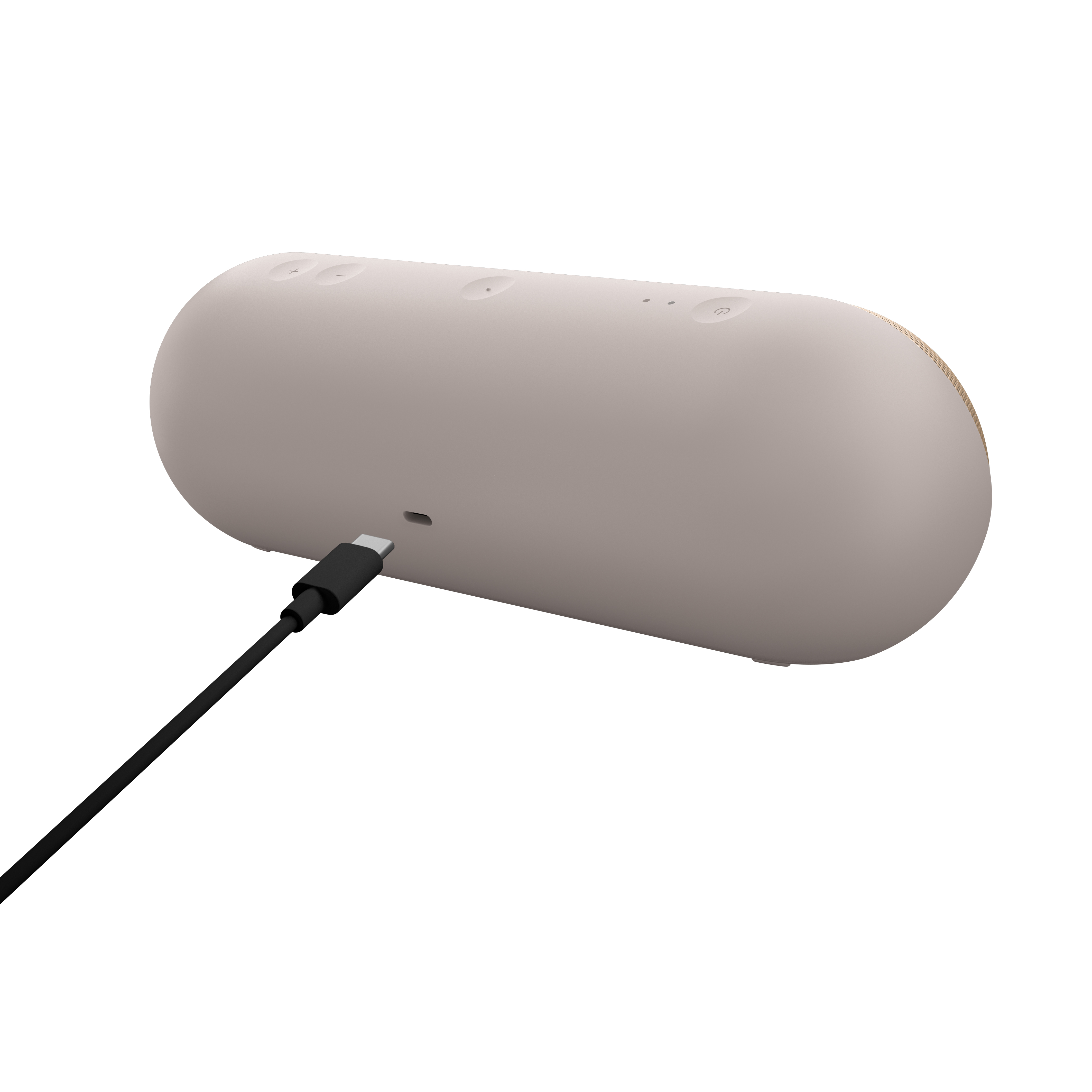 Un altavoz ovalado gris con un cable USB-C conectado, fondo blanco.