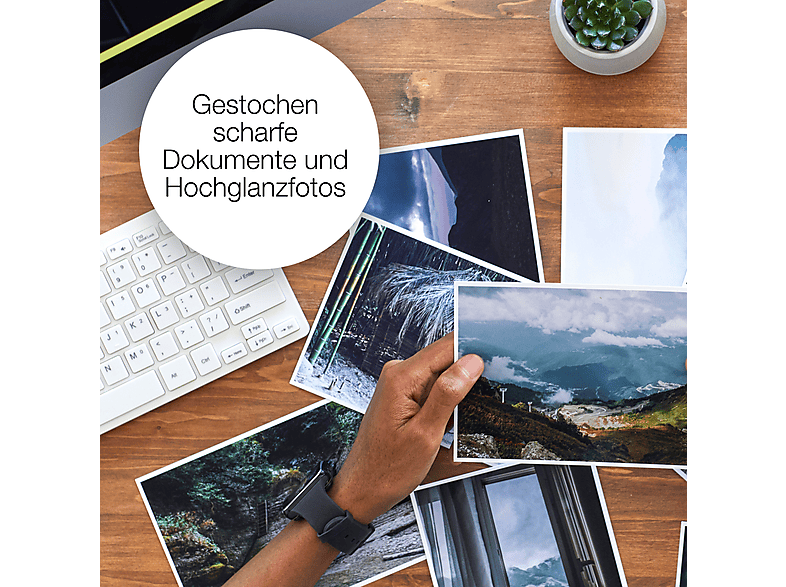 EPSON 604 Ananas Multipack 4 Farben Tinte — Foto 3 von 5