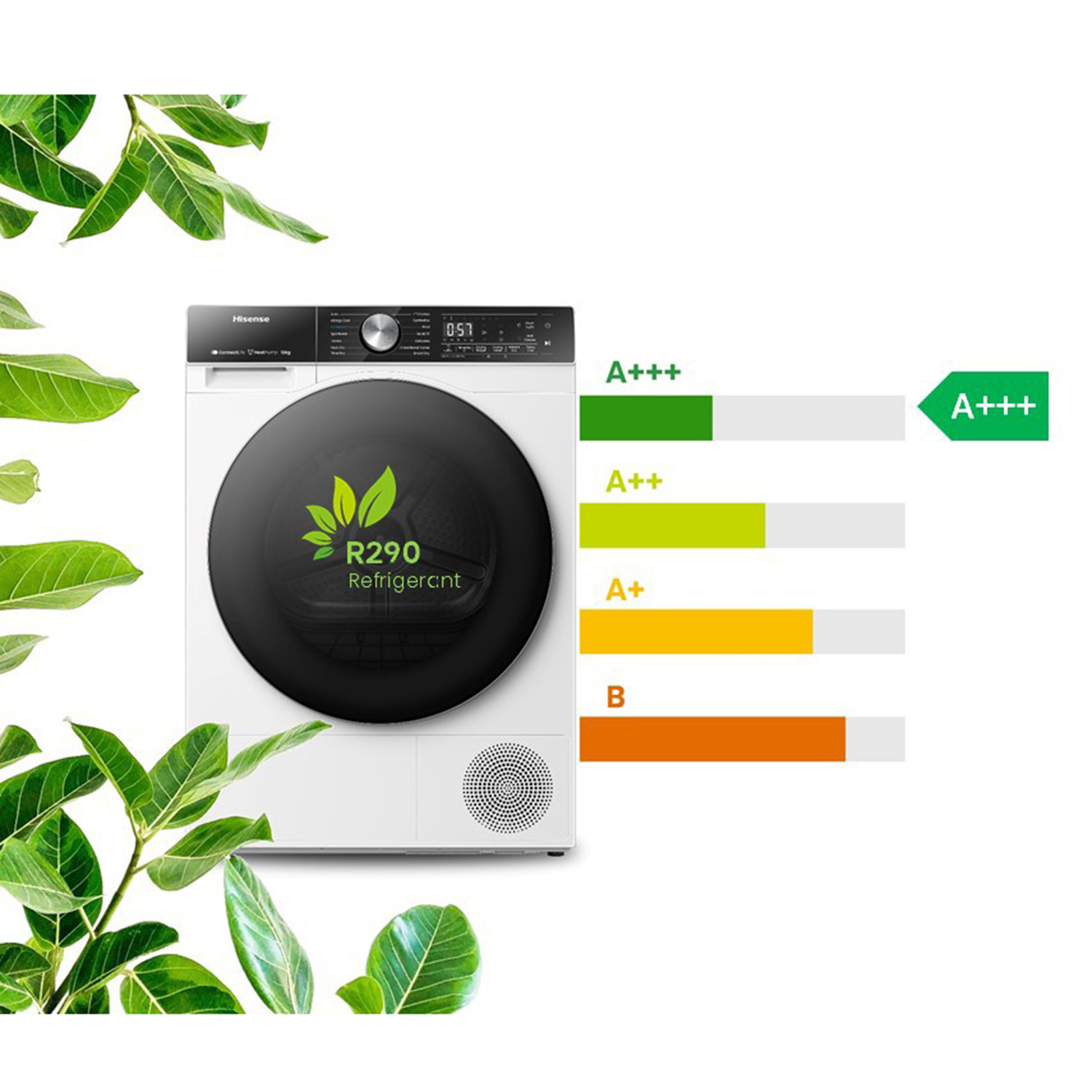 A white Hisense dryer with an energy label and green leaves in the foreground.