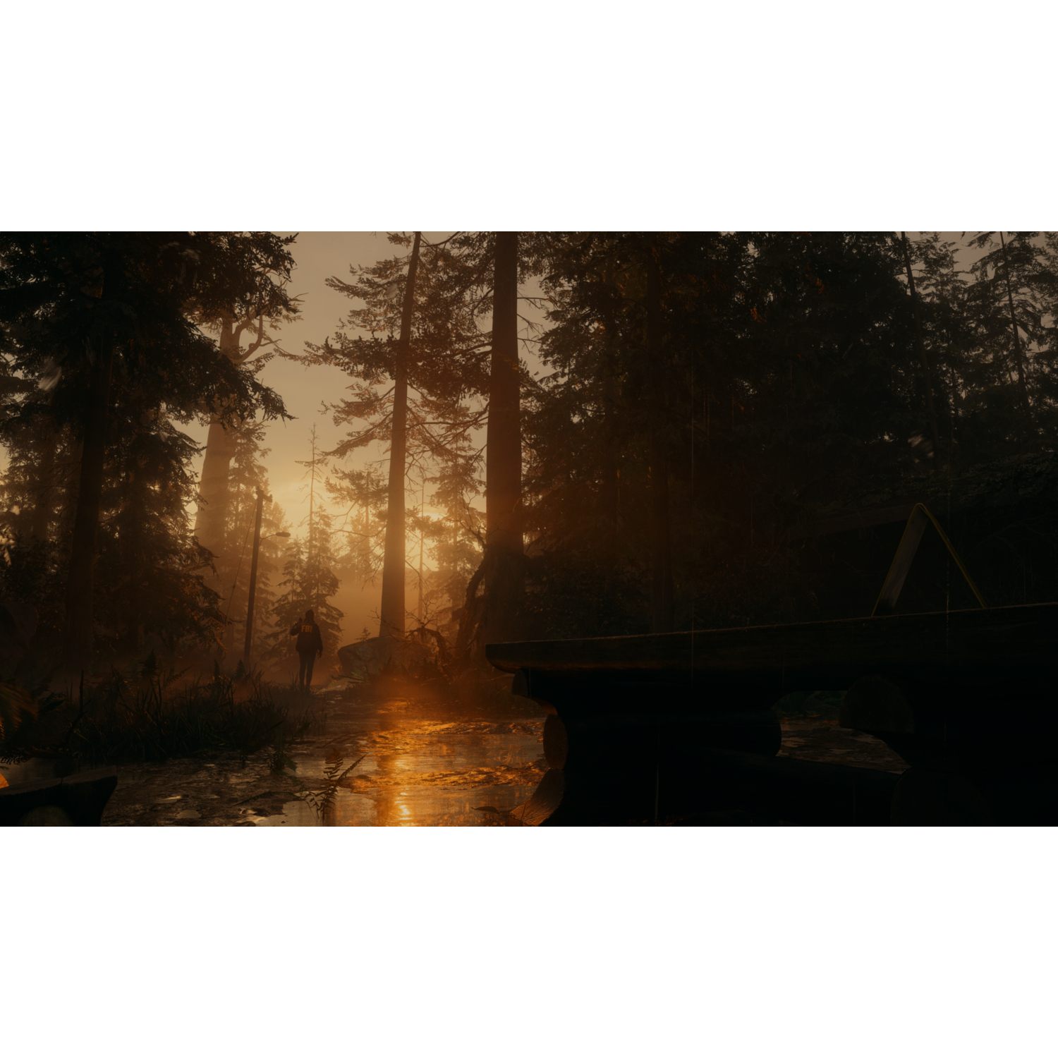 Een zonsondergang in een bos met een persoon die naar het licht loopt.
