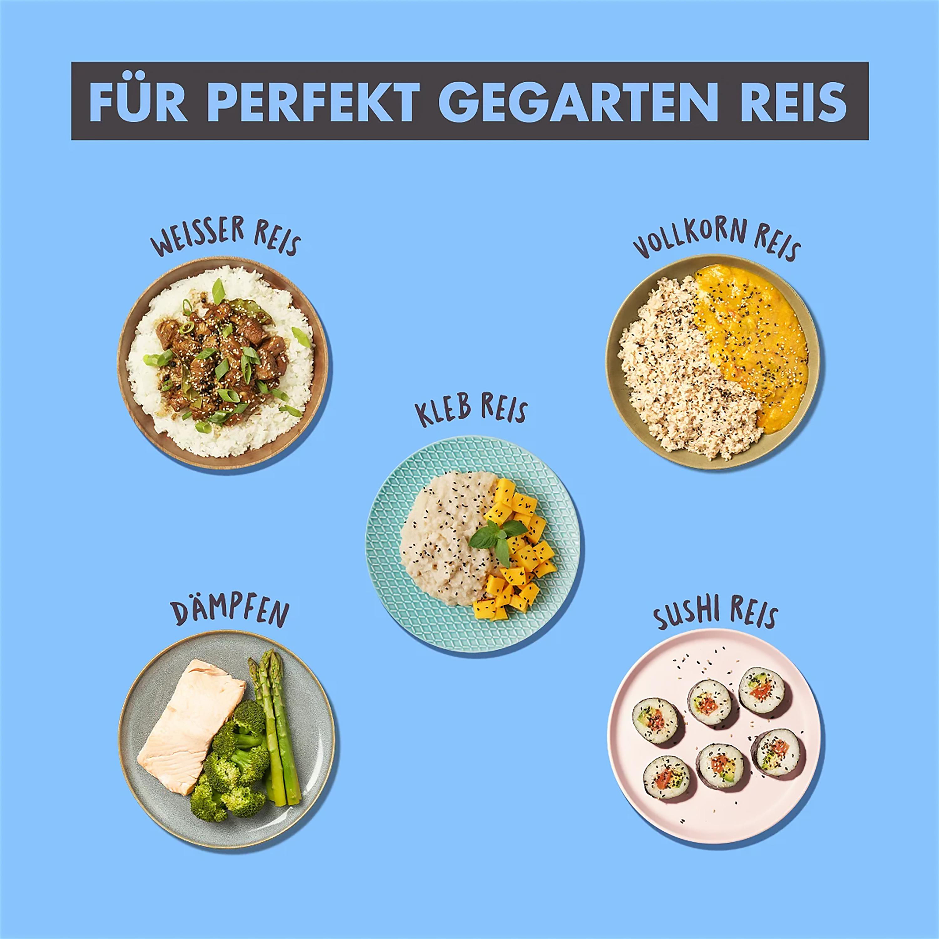 Verschiedene gekochte Reisgerichte: Weißer Reis, Vollkorn, klebrig, Sushi und gedämpfter Lachs.