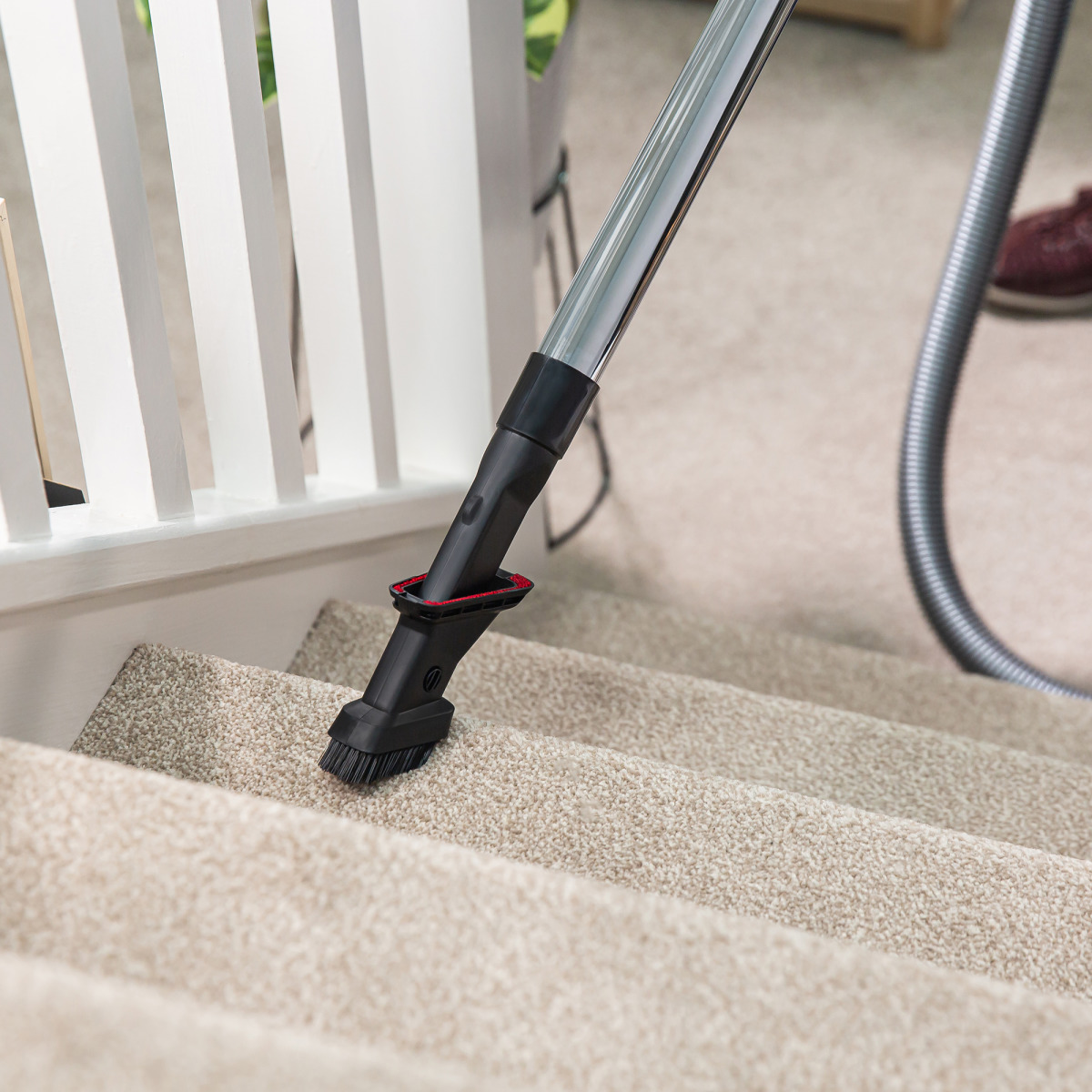 Staubsaugerkopf reinigt Teppichtreppe. Weißes Geländer und beiger Teppich sind sichtbar.