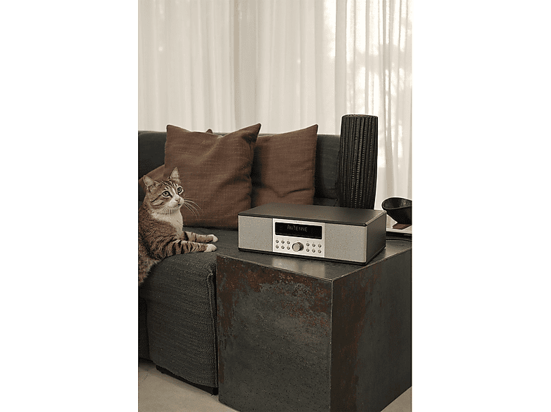 Party Speaker Peaq Pdr 290 Dab+