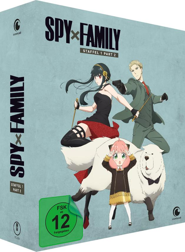 Anime-DVD-Box-Set mit drei Charakteren auf dem Cover.