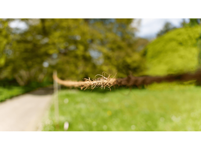 SIGMA 24-70mm DG DN II f./2,8 (Objektiv für Sony E-Mount, Schwarz)