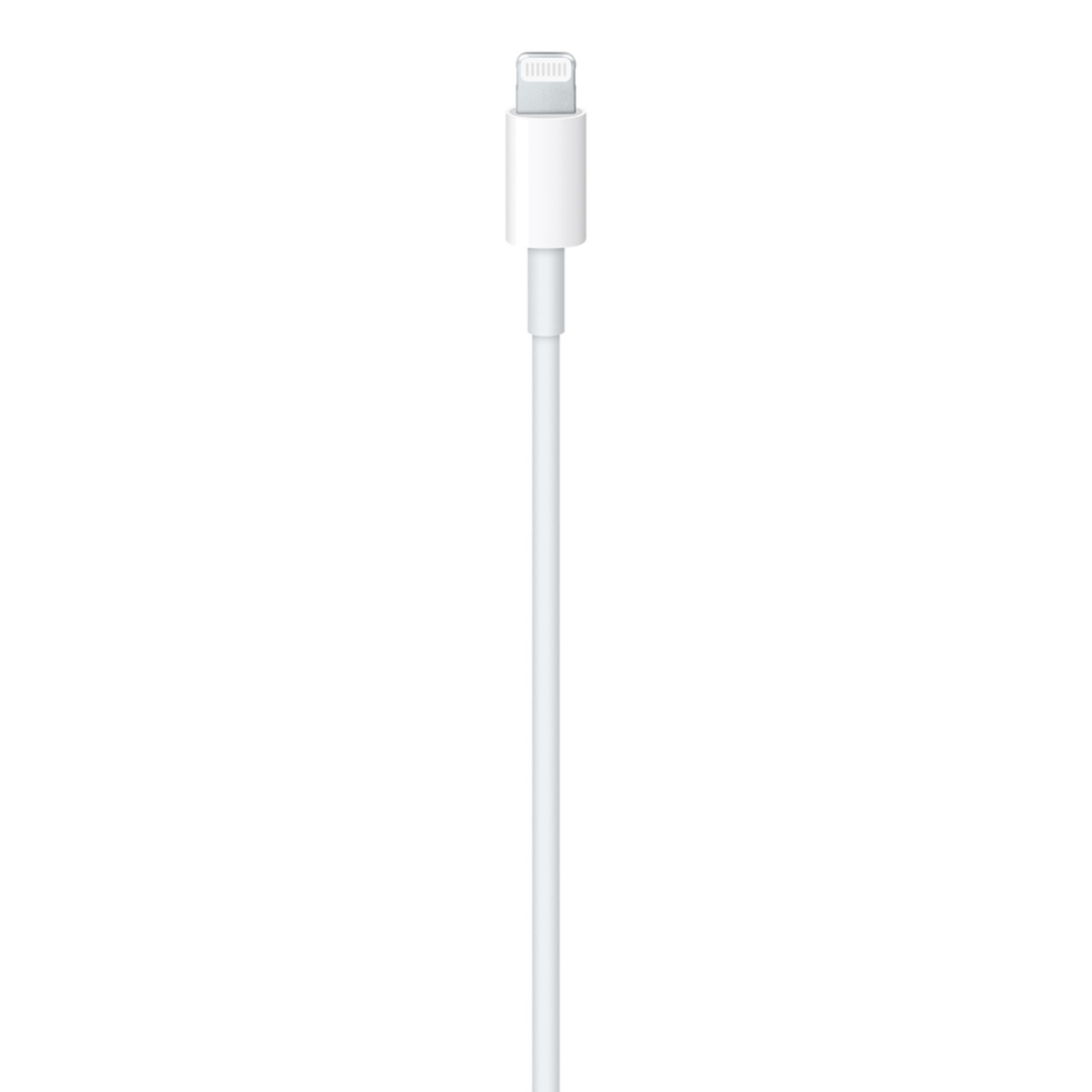 A white Apple Lightning cable. The connector is visible.