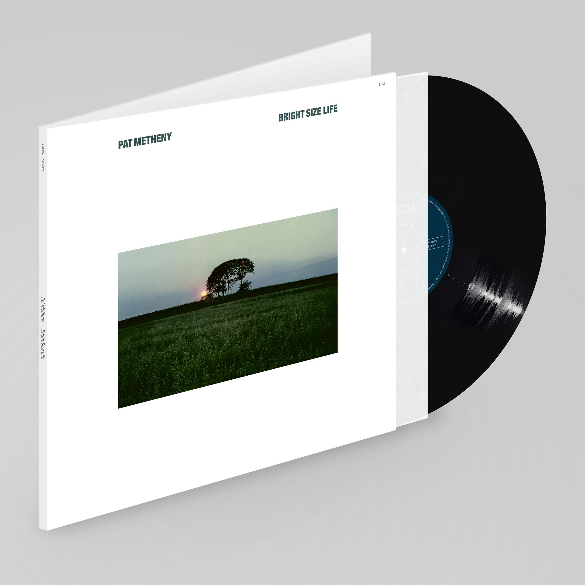 Schallplattenalbum mit schwarzem Vinyl. Weißer Umschlag mit Text und einem Foto eines Baumes.