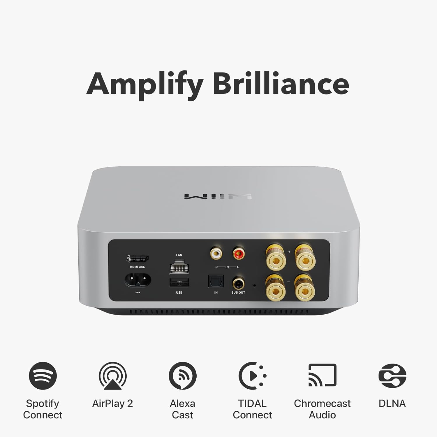 Dispositivo audio argento con più porte, circondato da icone per Spotify, AirPlay, Alexa, ecc.