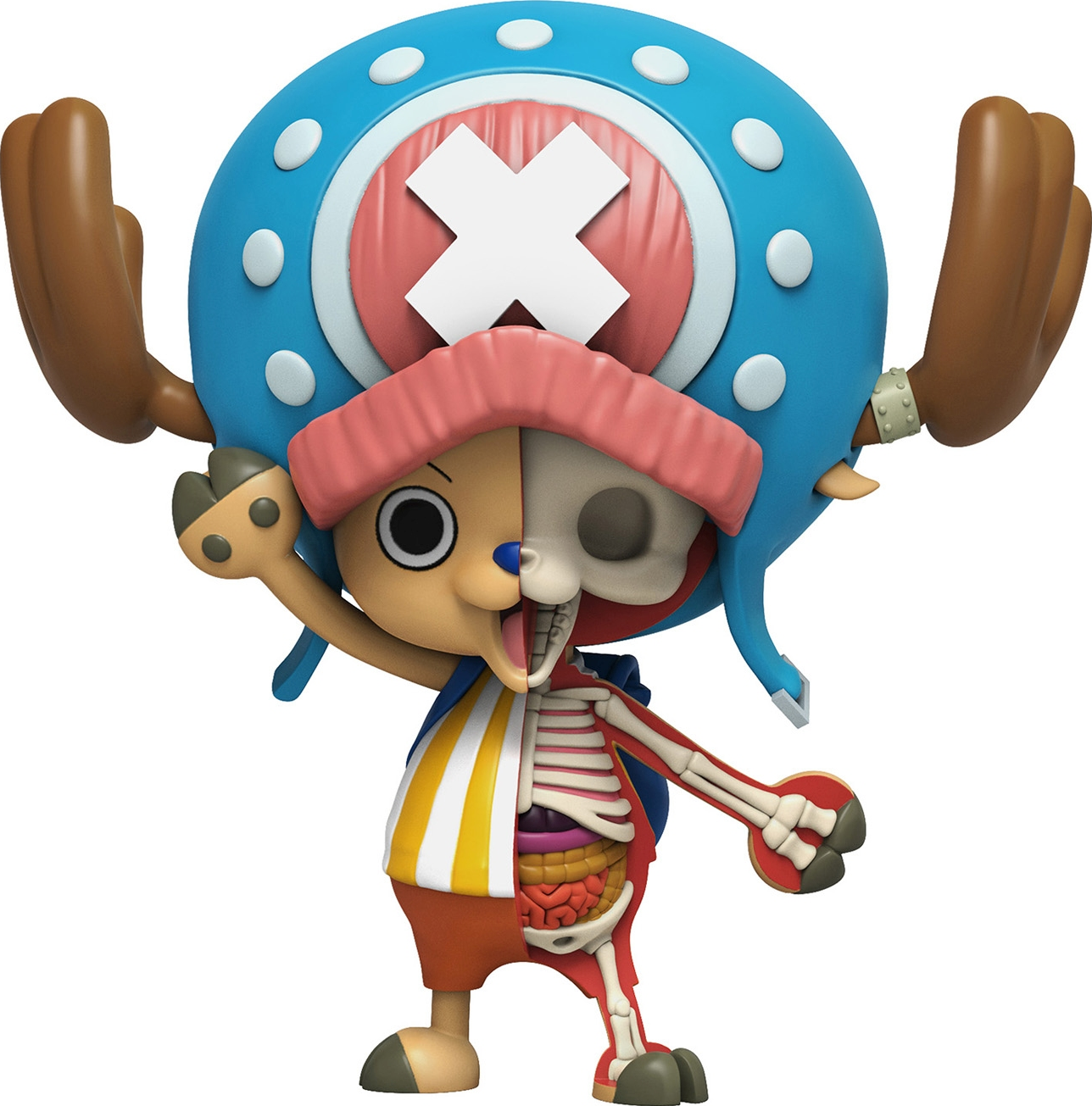 Figurine de Chopper avec une coupe transversale montrant les organes.