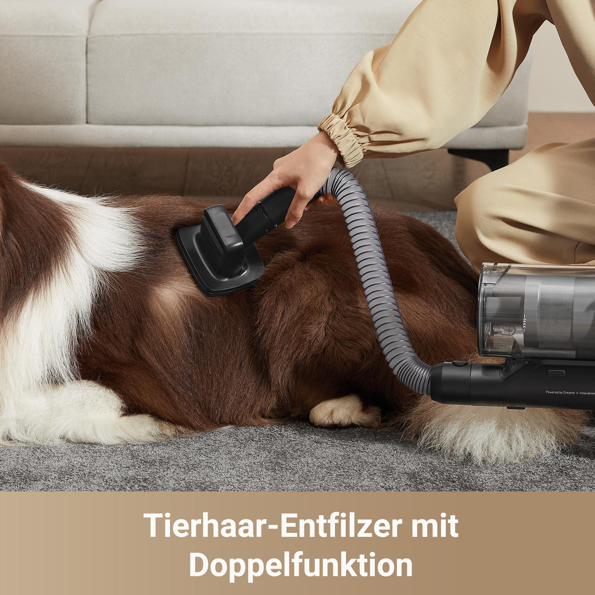 Eine Person benutzt ein Pflegewerkzeug an einem braun-weißen Hund.