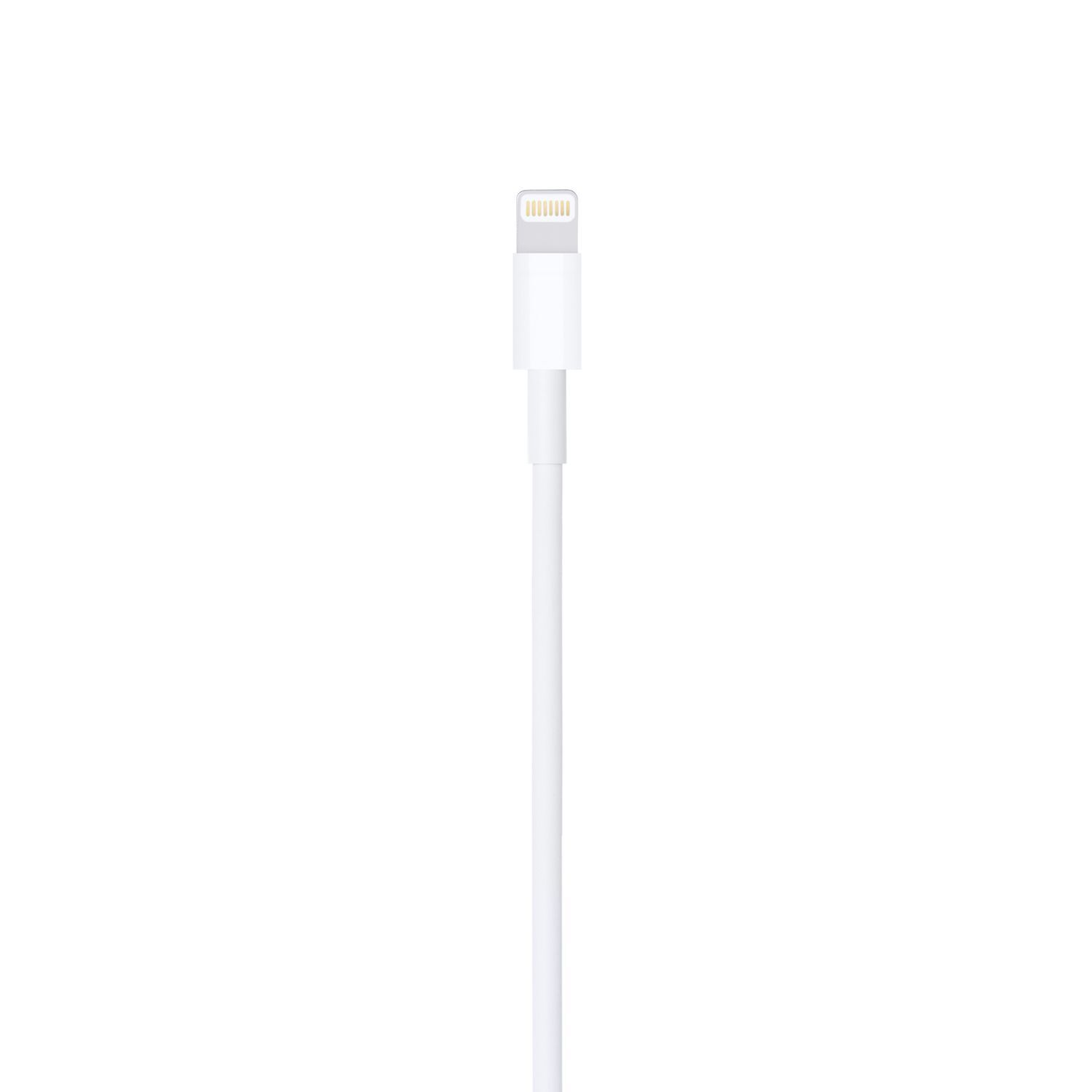 Câble de chargement blanc pour un téléphone. Il possède un connecteur blanc et un long câble blanc.