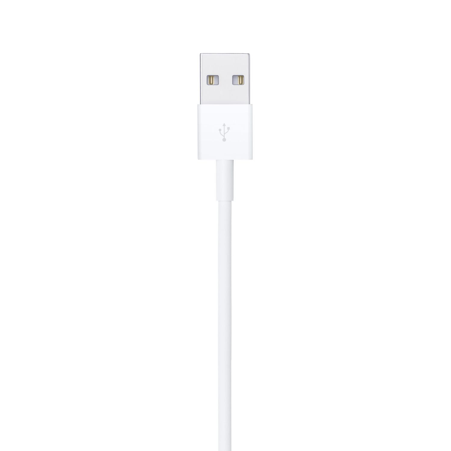 Câble USB blanc avec un connecteur à une extrémité, et un connecteur USB type A à l'autre.