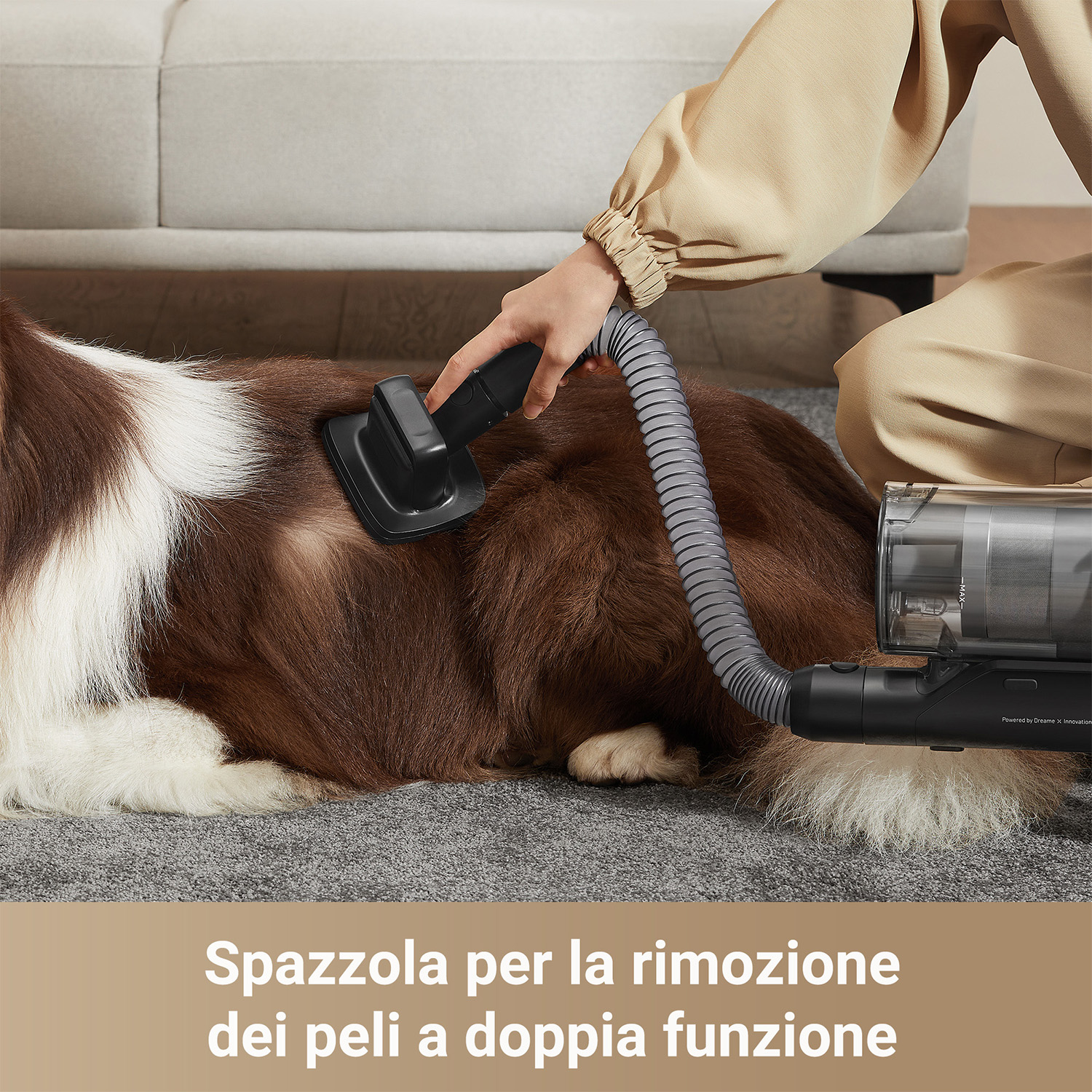 Una persona usa una spazzola per animali su un cane sdraiato su un tappeto.