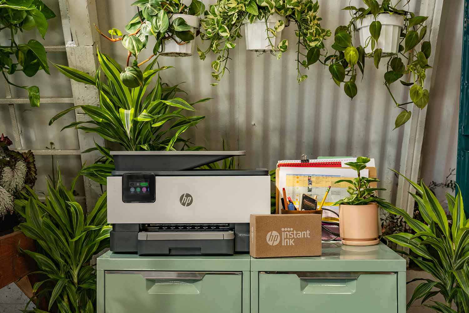 Printer, plants, desk, and a box of instant ink on a desk. Plants overhead.