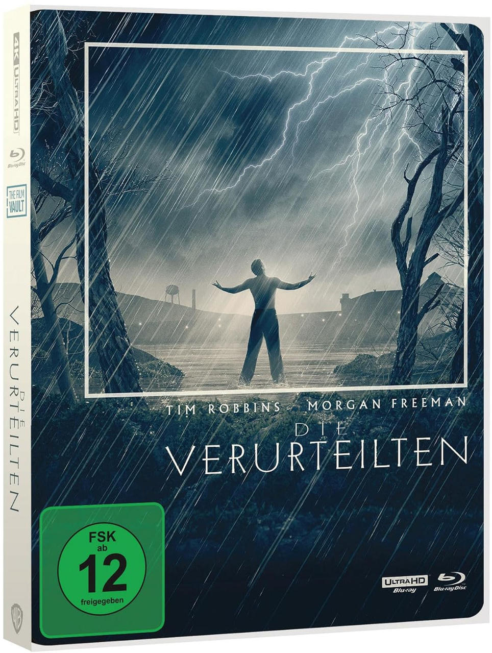 DVD-Box mit Filmplakat. Ein Mann steht mit offenen Armen im Regen. Blitz und Text sind vorhanden.