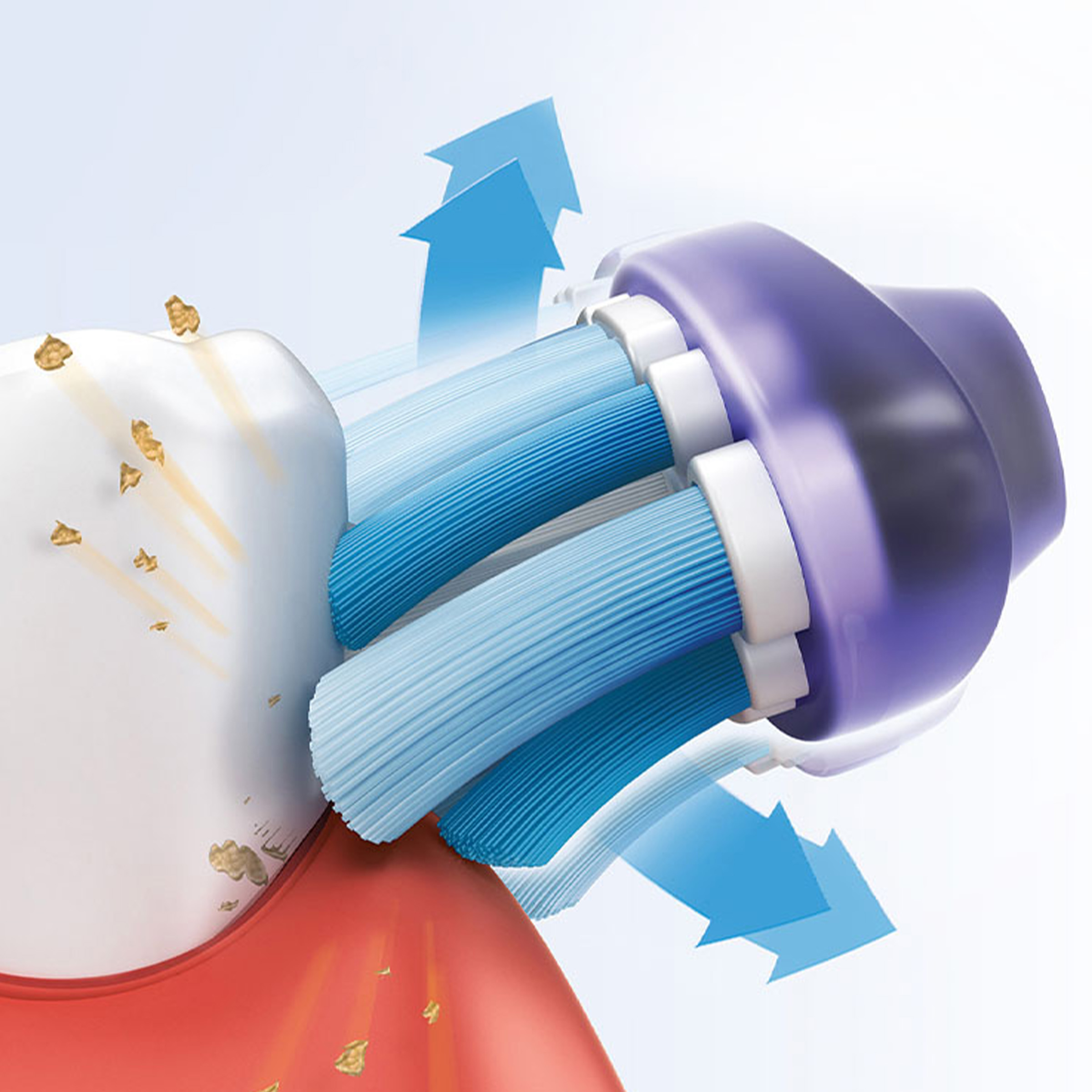 Zbliżenie szczoteczki do zębów czyszczącej zęby. Niebieskie włosie i strzałki pokazujące kierunek szczotkowania i usuwanie zanieczyszczeń.
