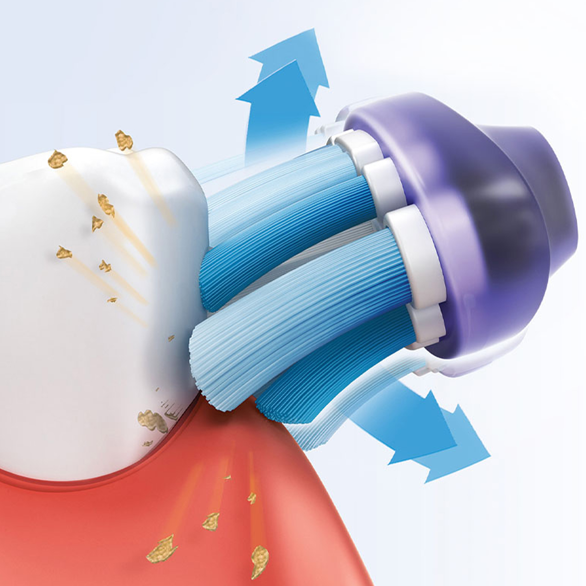 Główka szczoteczki do zębów czyszcząca ząb, ze strzałkami wskazującymi działanie czyszczące.
