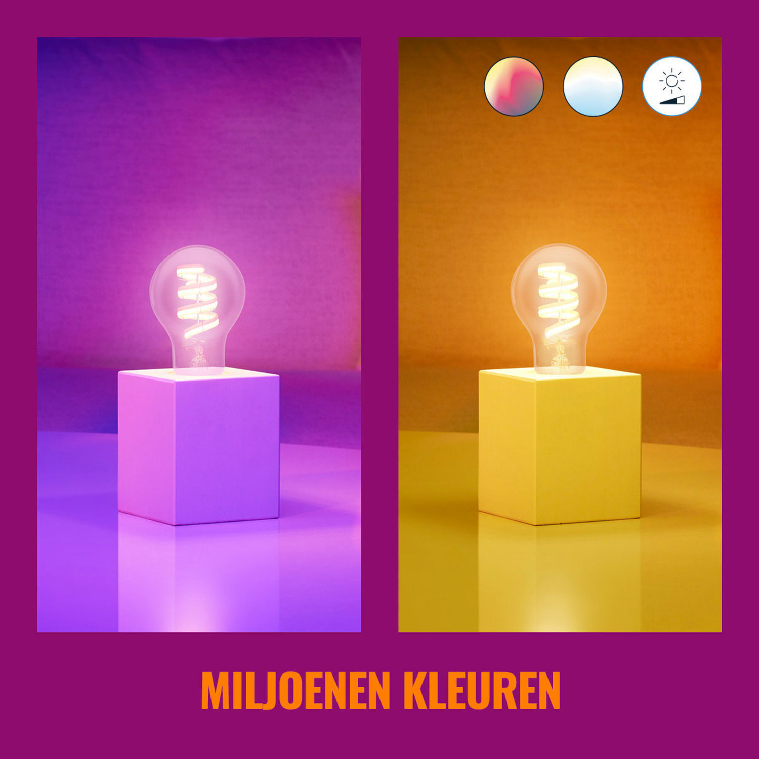 Two lamps with light bulbs on a purple and yellow background. Different light colors are shown.