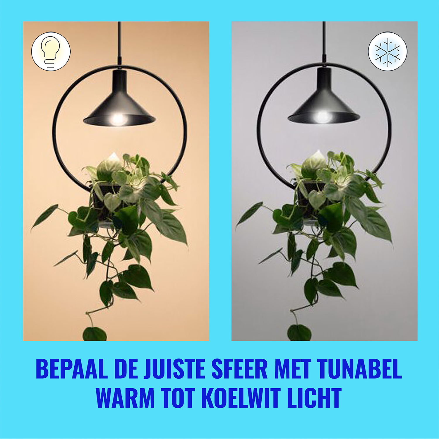 Two images of a plant in a hanging pot with different lighting effects.