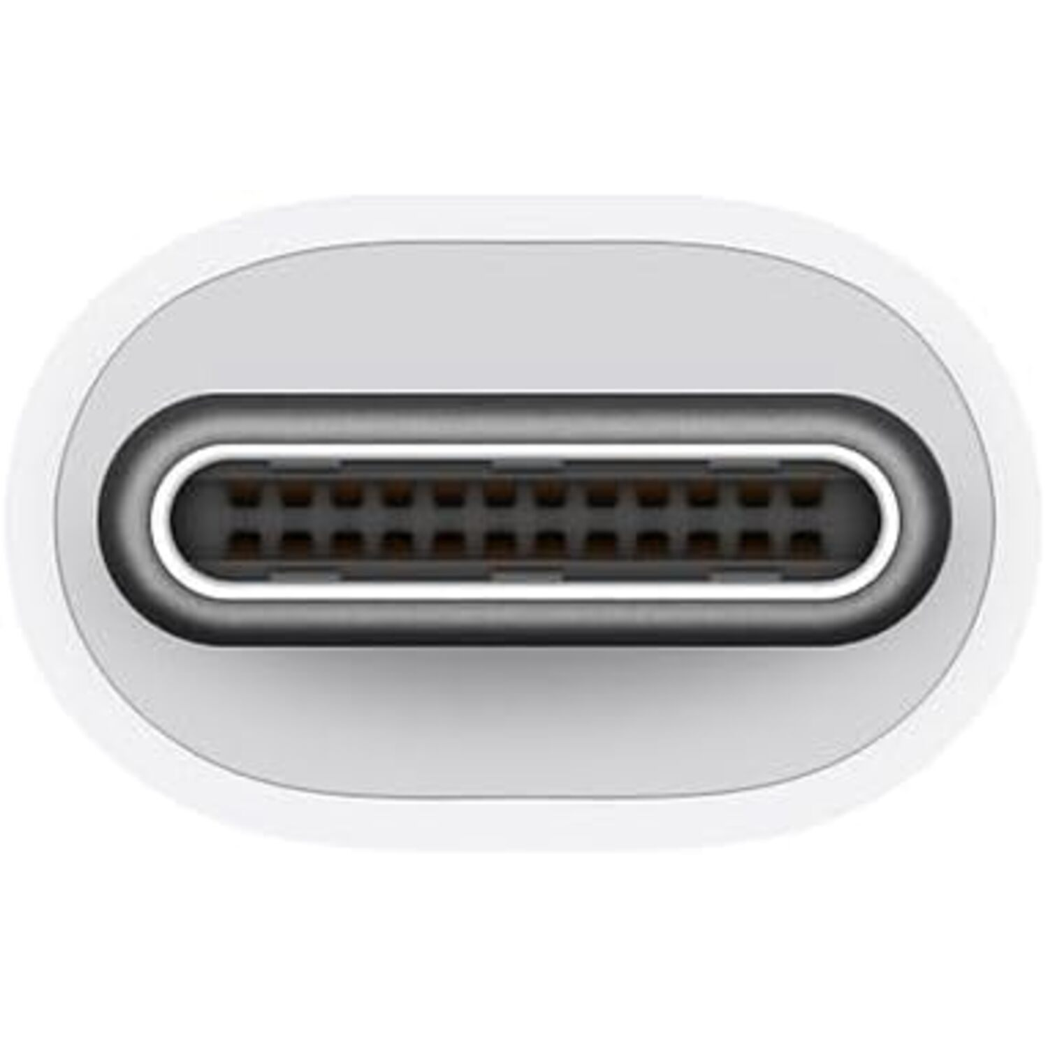 Un connecteur USB-C blanc. Il a une forme rectangulaire longue avec de nombreuses broches.