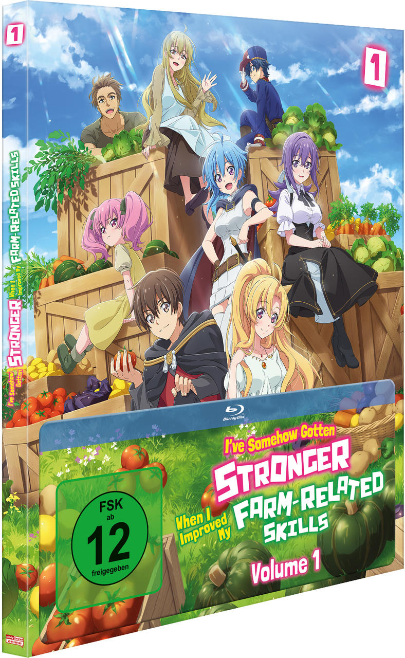 Anime-Blu-ray-Box-Set mit mehreren Charakteren, Gemüse und dem Titel: I've Somehow Gotten Stronger.