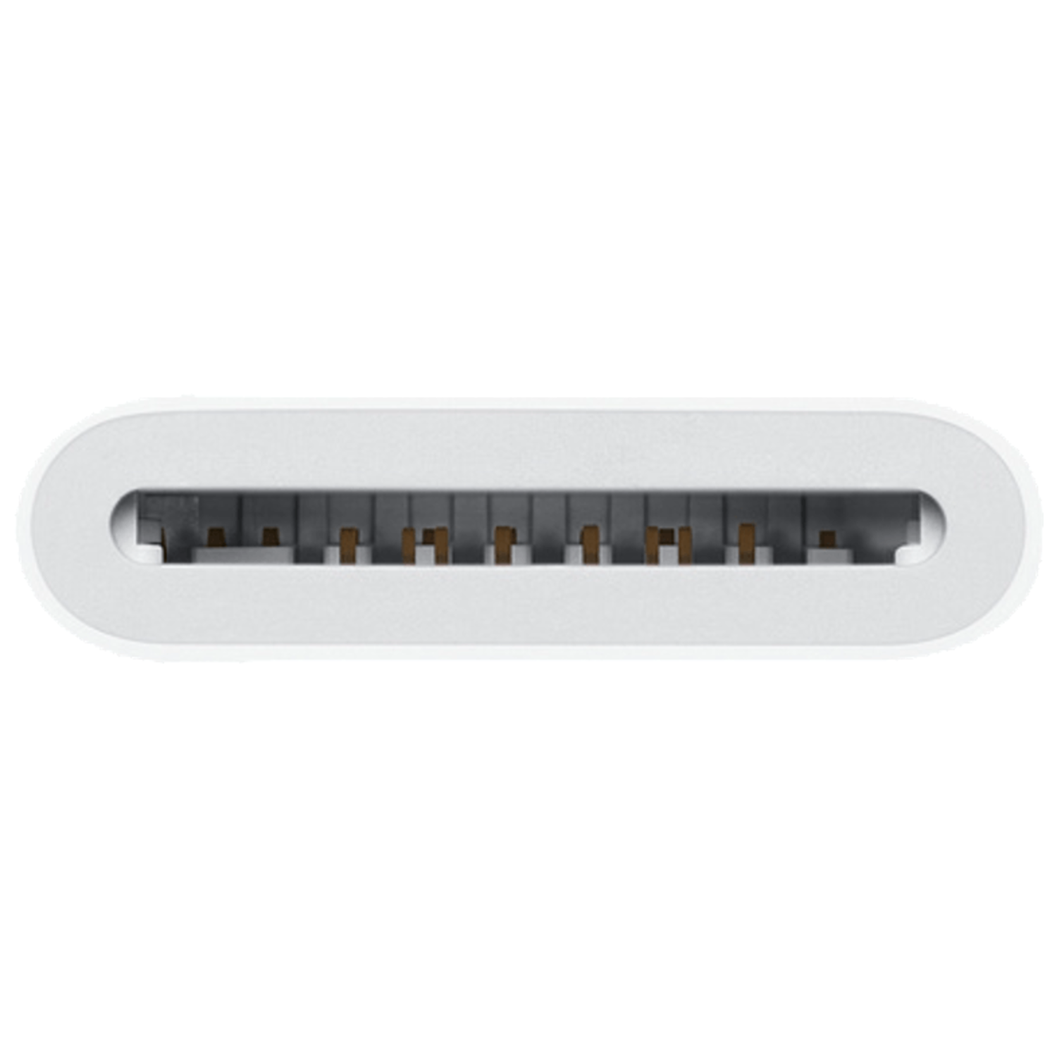 White rectangular device with multiple gold-colored pins inside, seen from above.