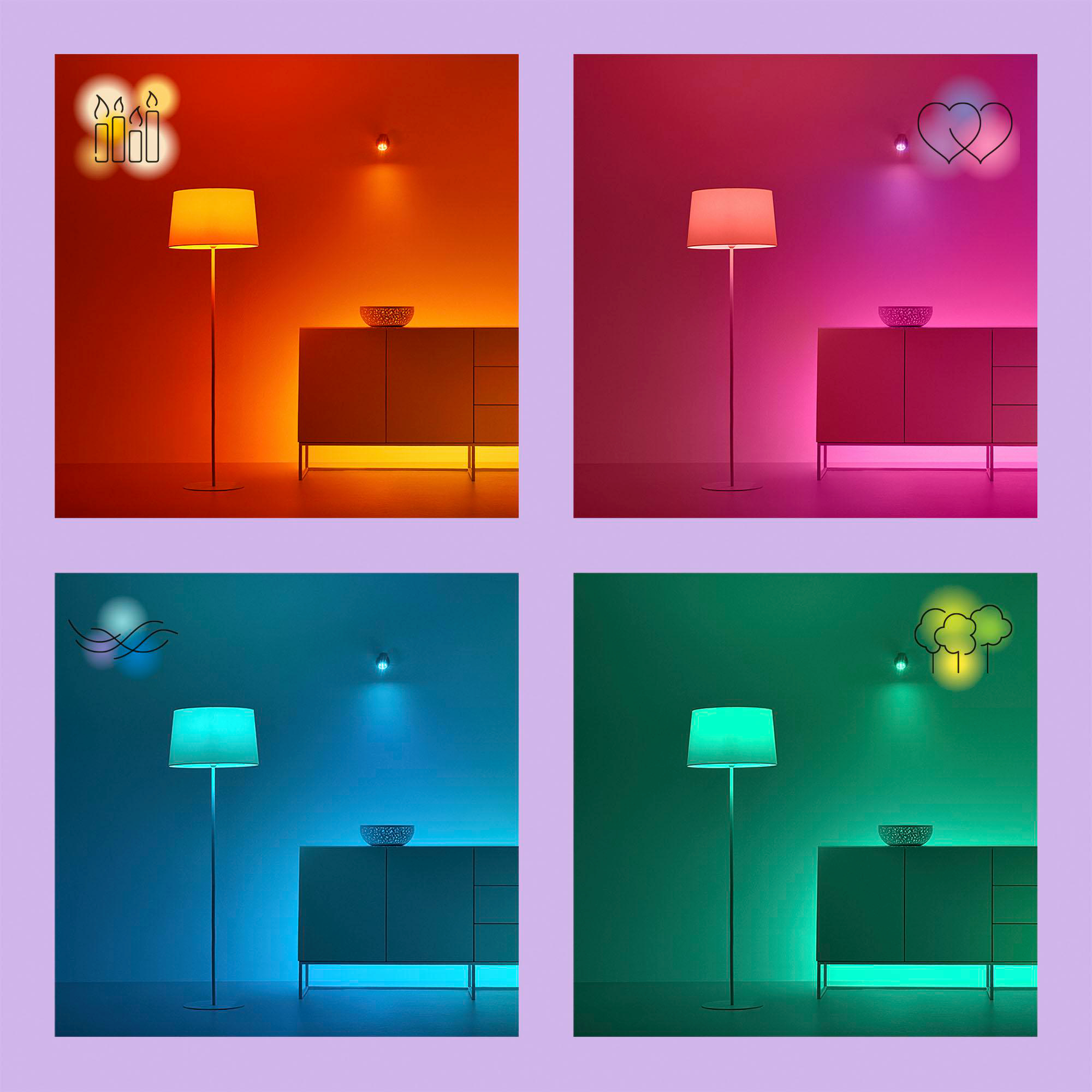 Vier Bilder. Jedes zeigt eine Lampe mit verschiedenfarbigem Licht. Lila Hintergrund.