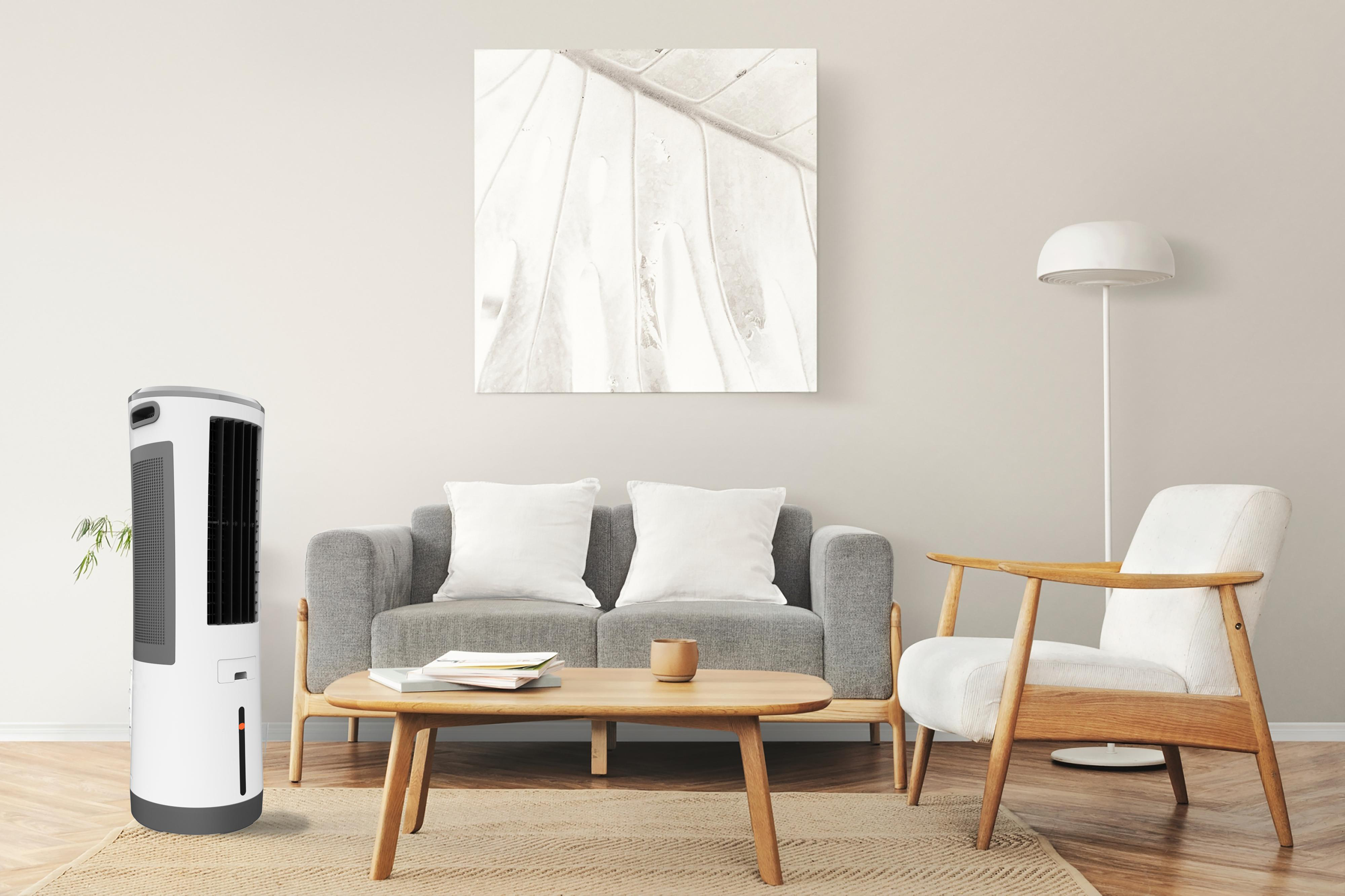 Wohnzimmer mit Luftkühler, Sofa und Stuhl. Ein Bild hängt an der Wand. Der Raum hat einen Teppich.