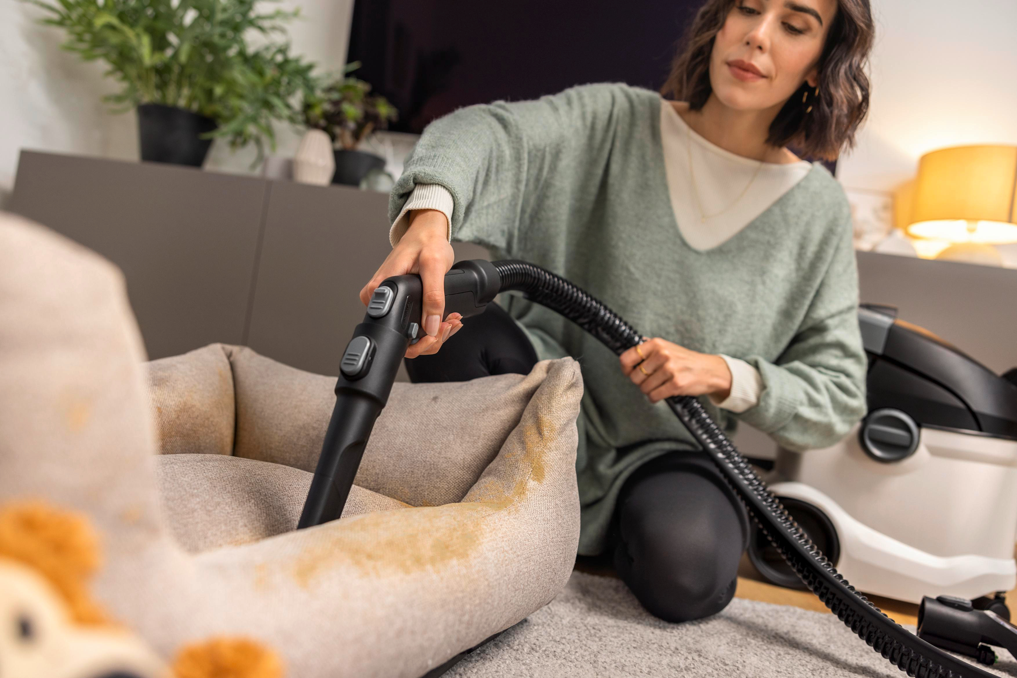 Eine Frau reinigt ein verschmutztes Hundebett mit einem Staubsauger.