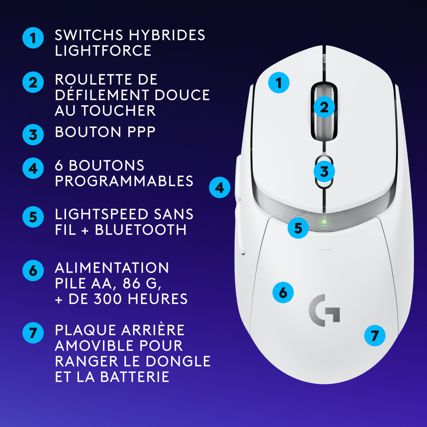 Souris blanche avec des caractéristiques numérotées, les numéros sont de 1 à 7.