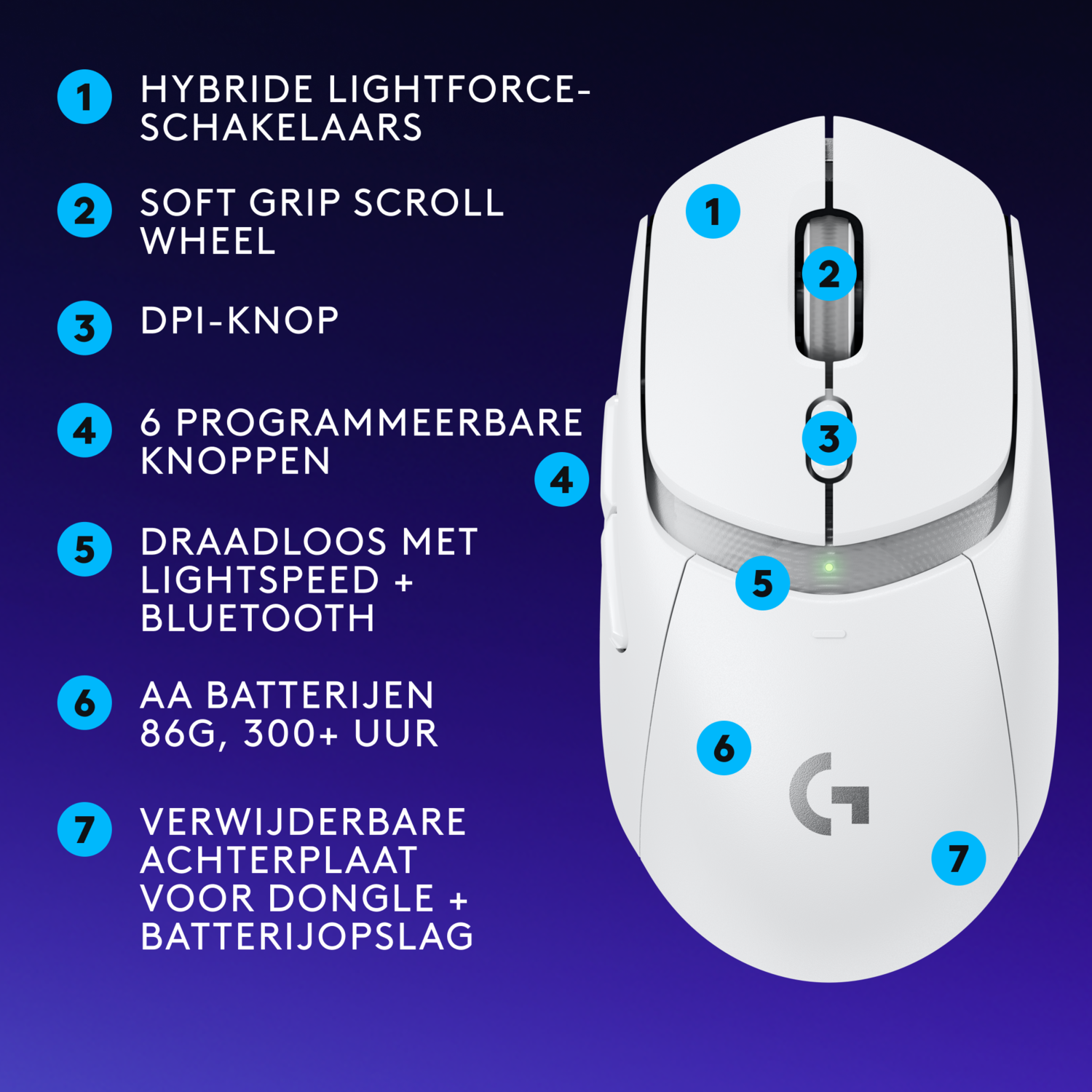 White mouse with numbered features, the numbers are from 1 to 7.
