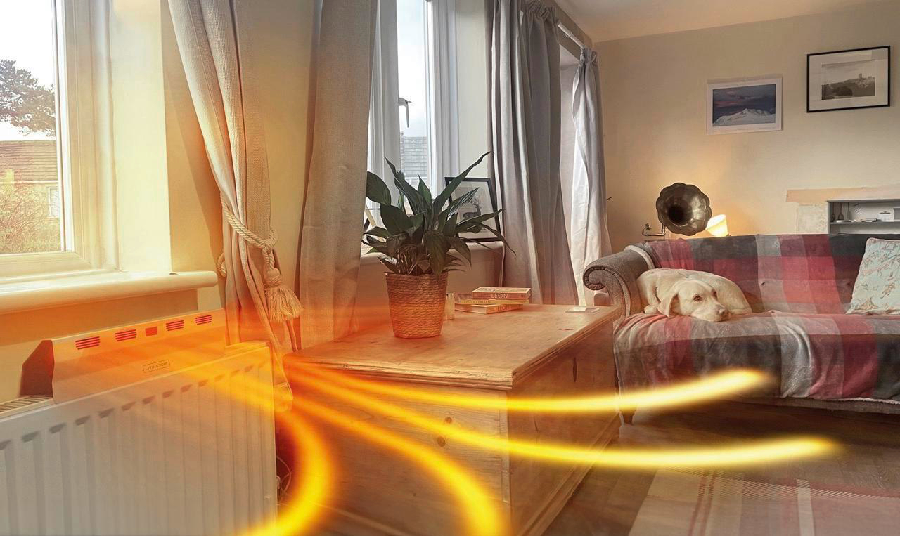Wohnzimmer mit Heizung und Hund auf Sofa.