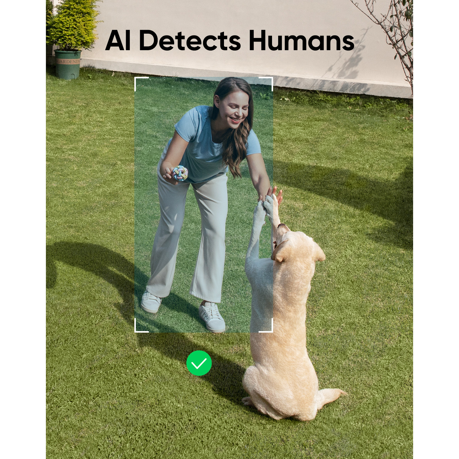 Woman plays with a dog on grass. AI detects humans.