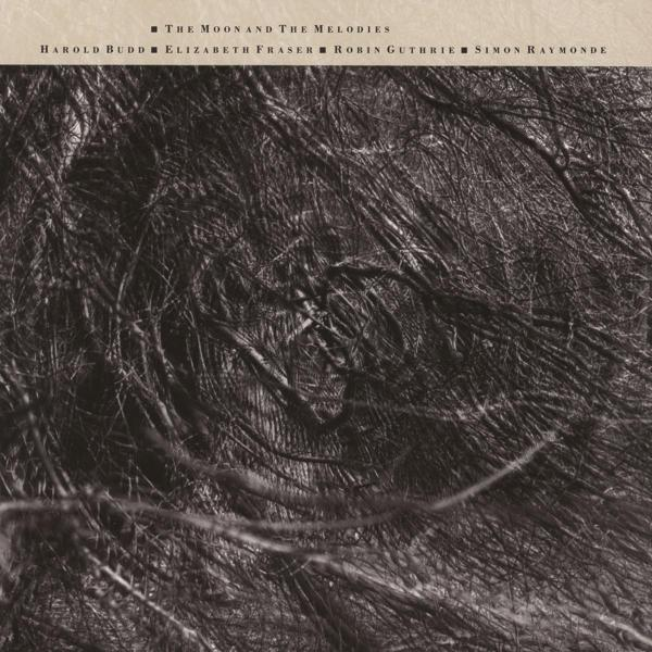 Monochromes Albumcover mit abstraktem Bild von Ästen und Künstlernamen oben.